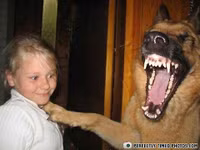 Hài hước với 15 bức ảnh... ""chộp"" ảnh 6