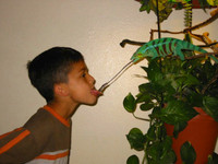 Hài hước với 15 bức ảnh... ""chộp"" ảnh 2