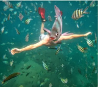 Hài hước với 15 bức ảnh... ""chộp"" ảnh 4