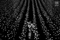 25 bức ảnh cưới đẹp như mơ của thế giới ảnh 24