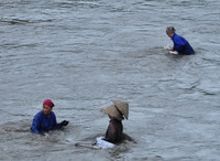 Hàng trăm đàn ông, phụ nữ lao xuống sông... mò “ngọc trai đen“ ảnh 5