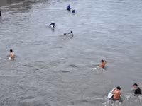 Hàng trăm đàn ông, phụ nữ lao xuống sông... mò “ngọc trai đen“ ảnh 3