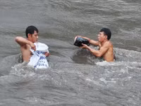 Hàng trăm đàn ông, phụ nữ lao xuống sông... mò “ngọc trai đen“ ảnh 2