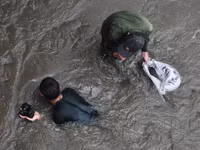 Hàng trăm đàn ông, phụ nữ lao xuống sông... mò “ngọc trai đen“ ảnh 6