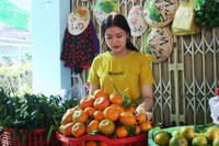 Vườn quýt hồng Lai Vung tấp nập khách ngày giáp Tết ảnh 9