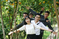 Vườn quýt hồng Lai Vung tấp nập khách ngày giáp Tết ảnh 8