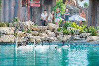 Đến Nha Trang trải nghiệm “Disneyland phiên bản Việt” ảnh 4 Đến Nha Trang trải nghiệm “Disneyland phiên bản Việt” ảnh 4