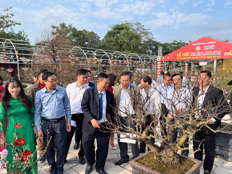 Đây là cơ hội để chính quyền và nhân dân làng nghề hoa đào Nhật Tân tiếp tục phát huy tình thần lao động, sáng tạo. 29 nghệ nhân làng Nhật Tân lần đầu tiên thi hoa đào truyền thống