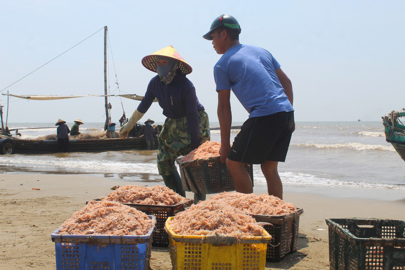 Nghề 'kỳ lạ' ở Thanh Hoá, trời càng nắng dân càng thích