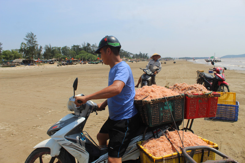 Nghề 'kỳ lạ' ở Thanh Hoá, trời càng nắng dân càng thích