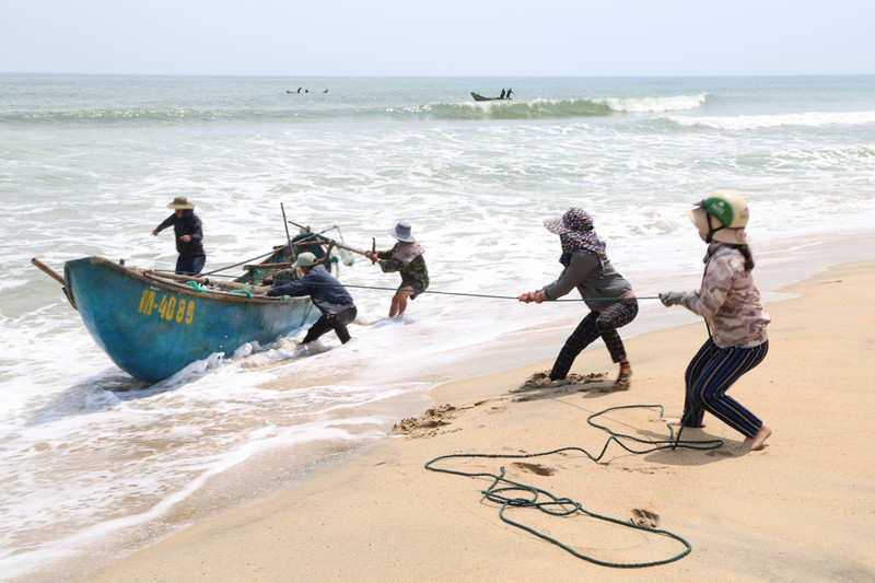 Mùa cào ốc ruốc ở bãi ngang Quảng Ngãi