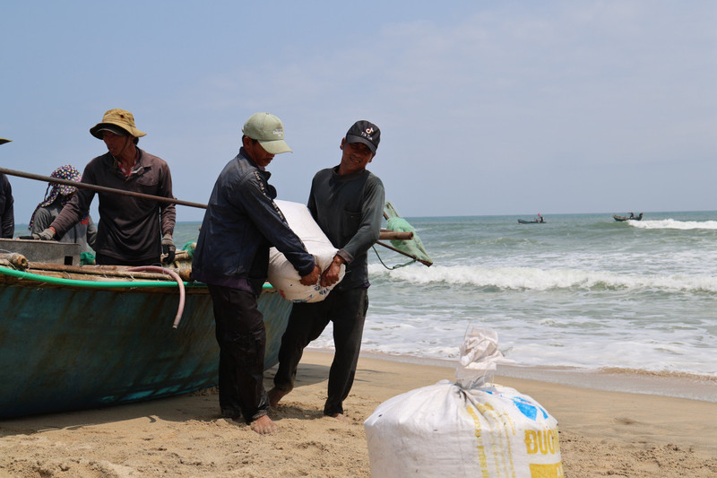 Mùa cào ốc ruốc ở bãi ngang Quảng Ngãi