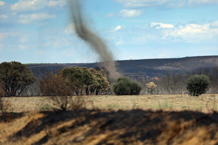 Tiểu bang đã ban bố tình trạng “thảm họa công cộng”, cho phép chính quyền áp dụng các biện pháp khẩn cấp để huy động nguồn lực và yêu cầu hỗ trợ từ liên bang. bao-8.jpg