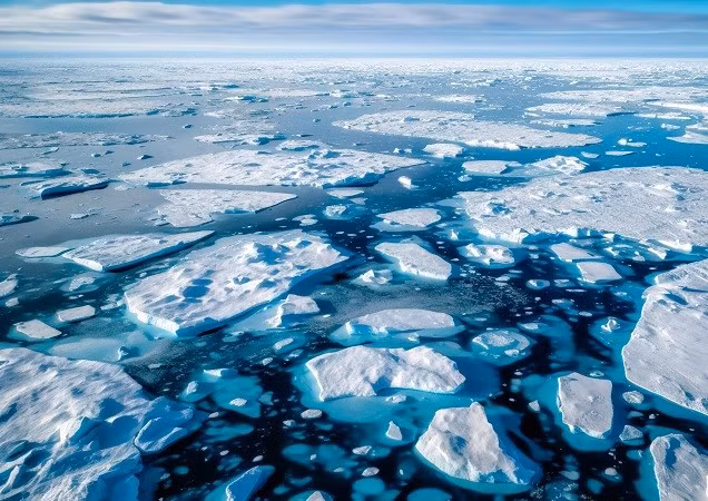 Sự mất mát băng biển không chỉ gây hại cho động vật hoang dã, thực vật và khoảng 4 triệu người sống ở Bắc Cực, mà còn gây ra hậu quả toàn cầu. bac-cuc-9.jpg