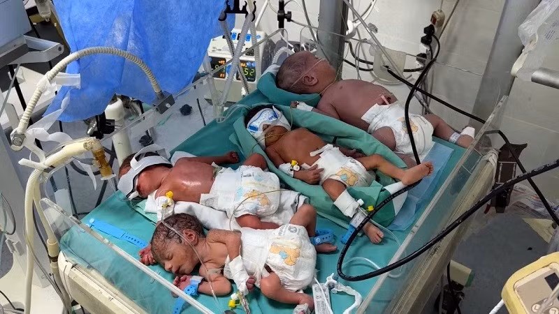 Giám đốc Bệnh viện Al-Ahli, phía nam thành phố Gaza đã đăng một bức ảnh lên mạng xã hội hôm 9/7 về nhiều trẻ sơ sinh nằm chung trong một lồng ấp. Bức ảnh được chụp tại một cơ sở khác, Al-Helou. tre-6.jpg