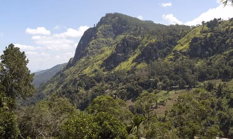 Một cuộc điều tra đang được tiến hành để tìm hiểu sự cố xảy ra trên không. Loại hình bay này sử dụng cánh hoặc tán dù nhỏ hơn và thường có tốc độ hạ xuống nhanh hơn nhiều so với dù lượn thông thường. du-5.jpg
