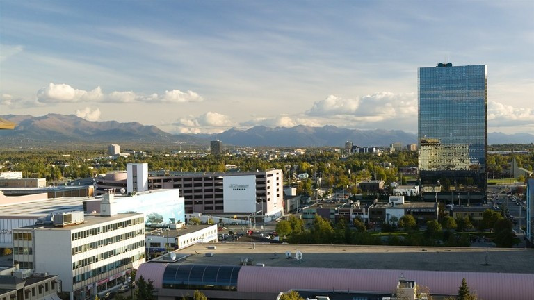 can-cu-2.jpg
