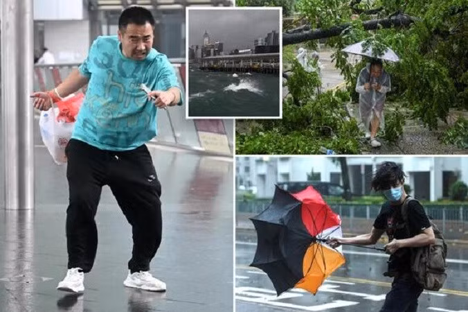 Tuy nhiên, tác động của Wipha được chứng minh là ít tàn phá hơn, mặc dù làm bị thương ít nhất 26 người và làm bật gốc hàng trăm cây trên khắp thành phố - cũng như làm sập các công trình giàn giáo lớn. 8.jpg