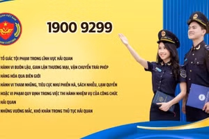 Ảnh: Cục Hải quan công bố đường dây nóng.