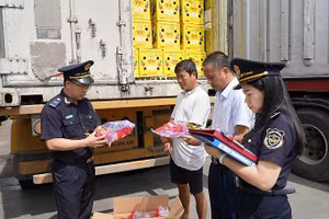 Cán bộ hải quan kiểm tra hàng hóa xuất, nhập khẩu . Ảnh: TL