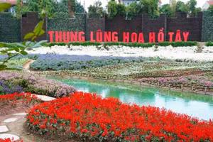 Hơn 28.700m2 đất ở Thung lũng hoa Hồ Tây được đấu giá cho thuê 734 triệu đồng/năm.