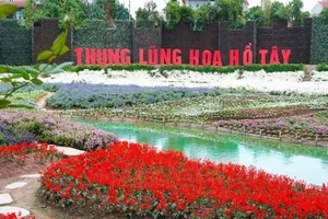 Hơn 28.700m2 đất ở Thung lũng hoa Hồ Tây được đấu giá cho thuê 734 triệu đồng/năm.