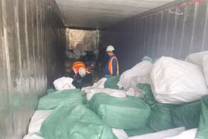 Ảnh: Số lượng hàng hóa không khai báo hải quan gây thất thu ngân sách hơn 7 tỷ đồng.