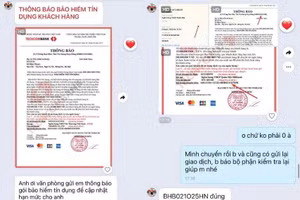 Ảnh: Giao diện website các đối tượng lừa đảo gửi đến anh M.