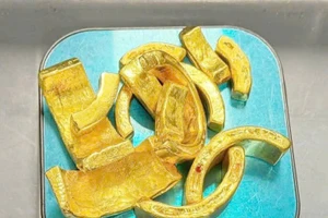 Ảnh: Gần 2kg vàng giấu trong ống kính máy ảnh.