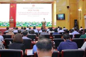 Toàn cảnh Hội nghị.