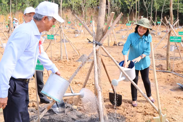 GS.TS Ngô Thị Phương Lan cùng tham gia trồng cây, khánh thành “Vườn cây ơn Bác” trong chương trình “Đại học Xanh”. Ảnh: NVCC