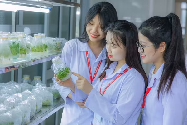 Sinh viên ngành Sư phạm Khoa học tự nhiên, Trường Đại học Sư phạm Hà Nội 2 trong giờ thực hành. Ảnh: HPU2