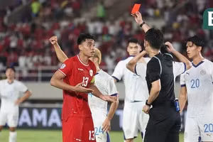 Truyền thông Indonesia bất ngờ khen Việt Nam hết lời