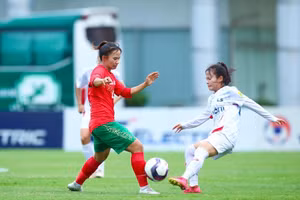 Tạm dừng các giải bóng đá của VFF 