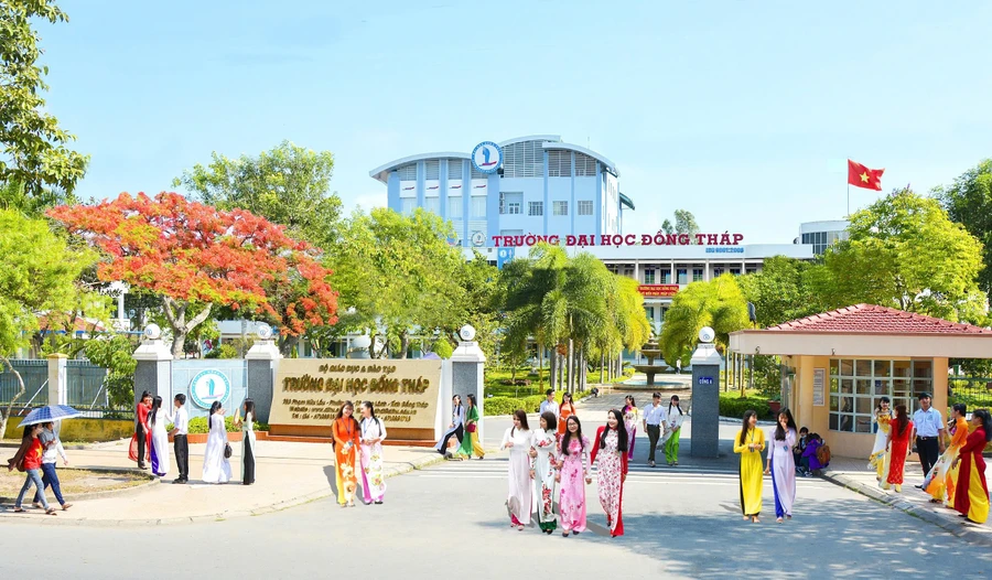 Trường Đại học Đồng Tháp là một trong 14 cơ sở giáo dục đại học chủ chốt đào tạo giáo viên của cả nước.