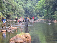 rung-mai-6.jpg