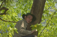 rung-mai-14.jpg