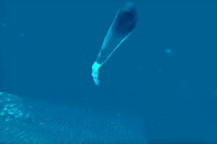8-a8f783c3.jpg