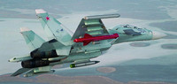 Su-30MK+Kh-59ME-KnAAPO-1S.jpg