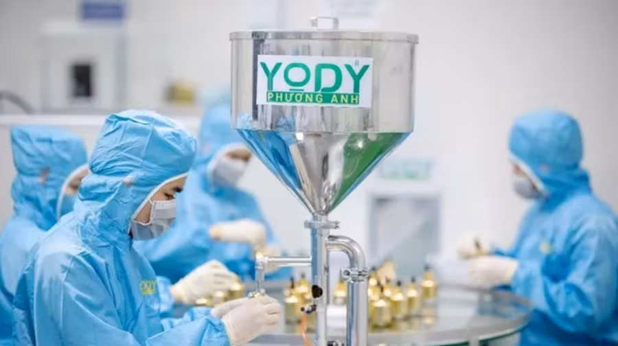 Công ty TNHH Thương mại dịch vụ Thẩm mỹ Yody Phương Anh sản xuất mỹ phẩm khi chưa được cấp giấy chứng nhận đủ điều kiện sản xuất mỹ phẩm.