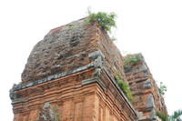 dsc09575.jpg