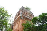dsc09563.jpg