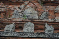 dsc09565.jpg