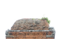 dsc09570.jpg