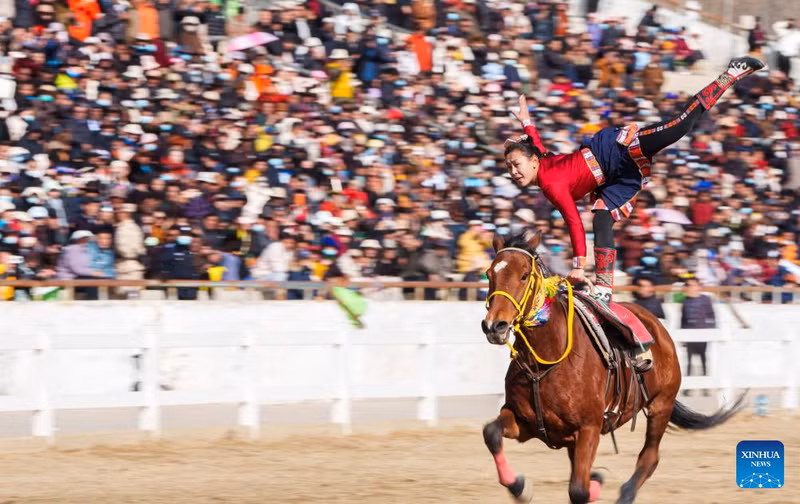 soi-dong-le-hoi-cuoi-ngua-mung-losar-tai-lhasa-5.jpg