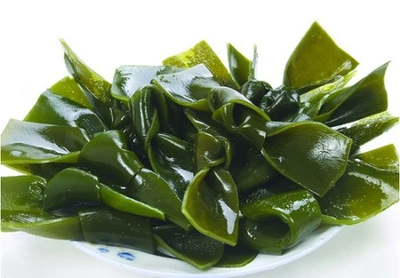 Côn bố- vị thuốc quý hỗ trợ điều trị ung thư |