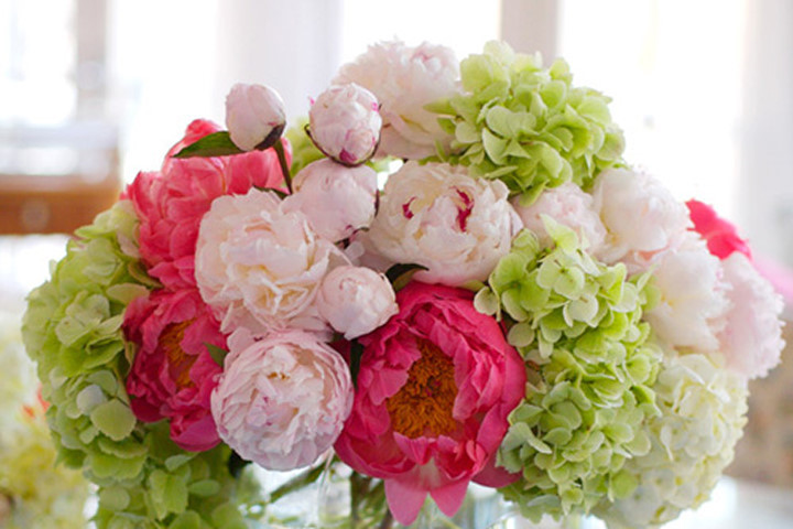 DỊCH VỤ VẬN CHUYỂN HOA TẾT – HOA MẪU ĐƠN VÀ VẬN CHUYỂN HÀNG CONTAINER TỪ CẢNG TP.HCM ĐI CÁC TỈNH HCM, HÀ NỘI, ĐÀ NẴNG