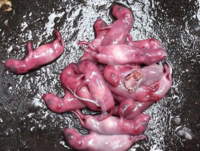 Rợn người với 9 món ăn "kinh dị" bậc nhất thế giới ảnh 26