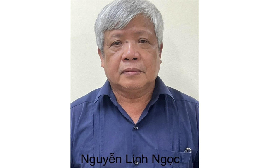 Bị can Nguyễn Linh Ngọc.