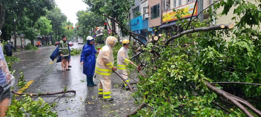 Lực lượng Công an Thủ đô khắc phục hậu quả cây đổ do mưa bão.